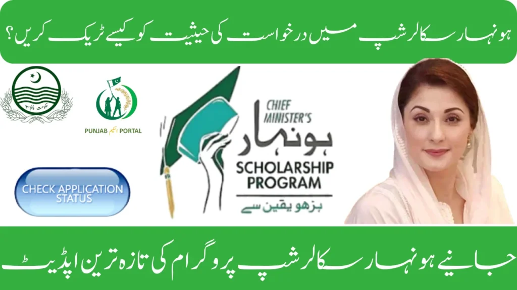 How to Check Honhaar Scholarship Application Status Step-by-Step
