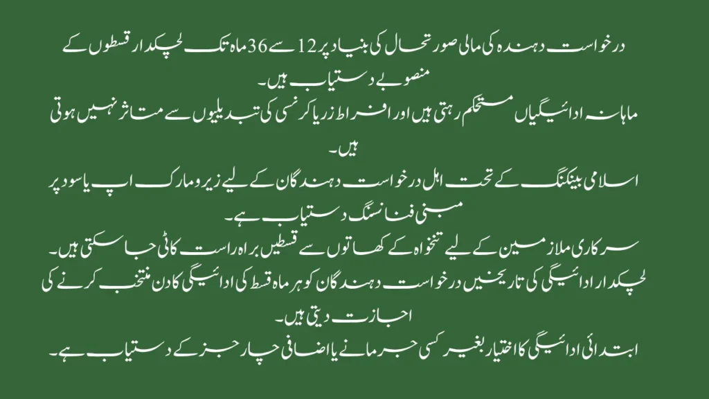 Affordable E-Bikes in 2025 CM Punjab Reduces Down Payment