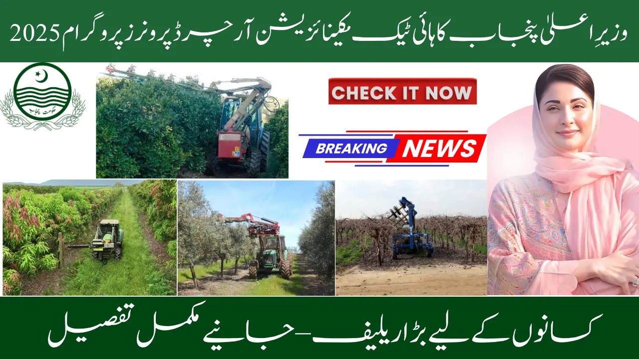 Check out the details of CM Punjab's High-Tech Mechanization Orchard Pruners Program 2025