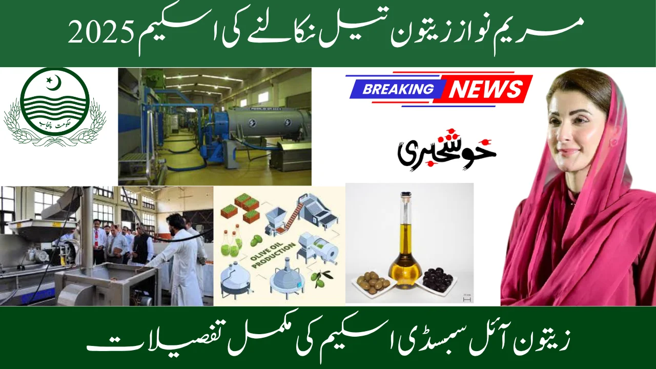 Maryam Nawaz Olive Oil Extraction Scheme 2025 - Apply Now