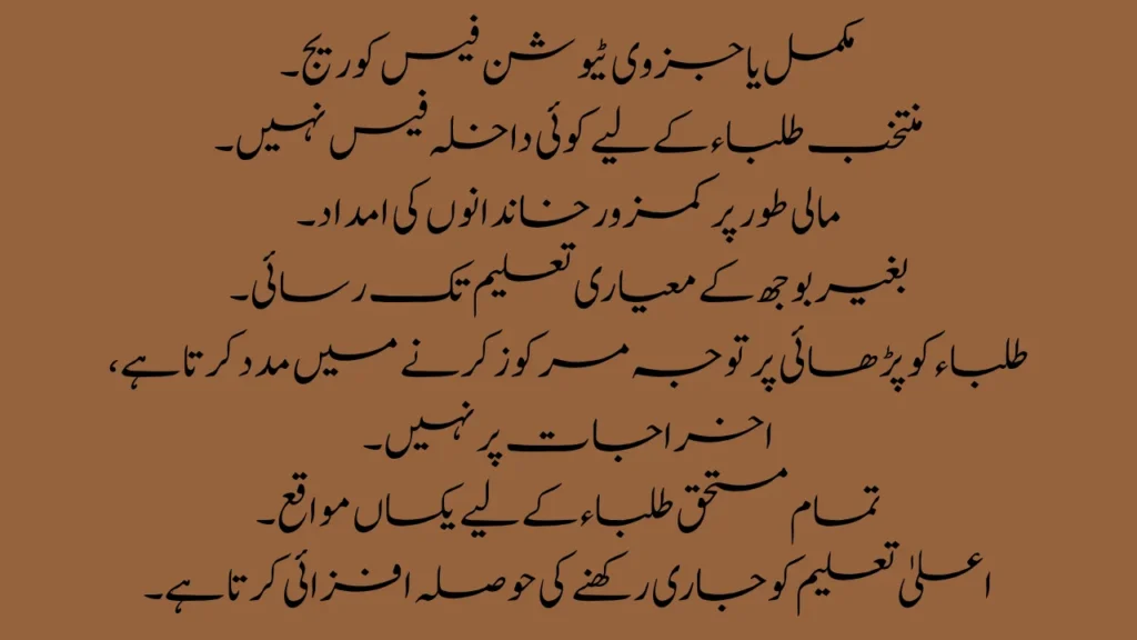 NCBA&E Announces Chief Minister’s Honhaar Scholarship for Undergraduate Students