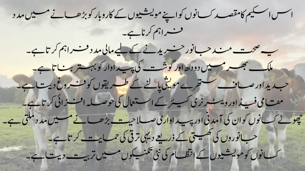 Apply Online for Livestock Phase 2 2025 – Easy and Quick Process