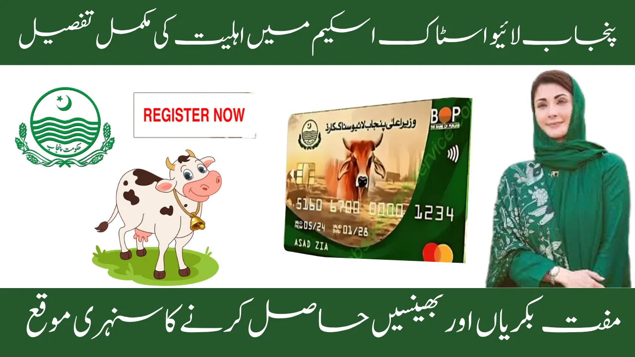 Livestock 2025 Phase 2 Eligibility Criteria Explained