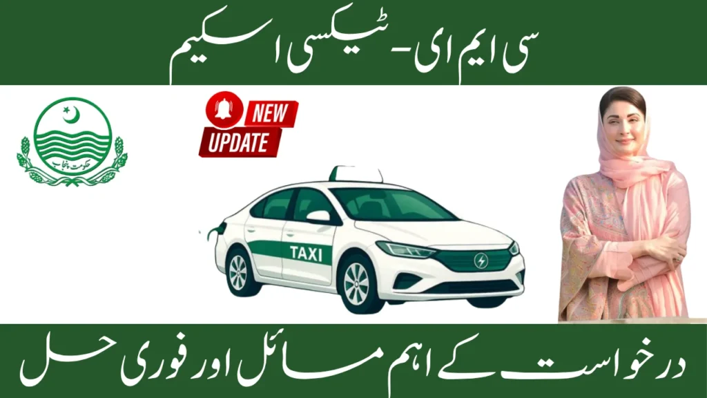 Top E-Taxi Application Challenges in 2025 and How to Solve Them