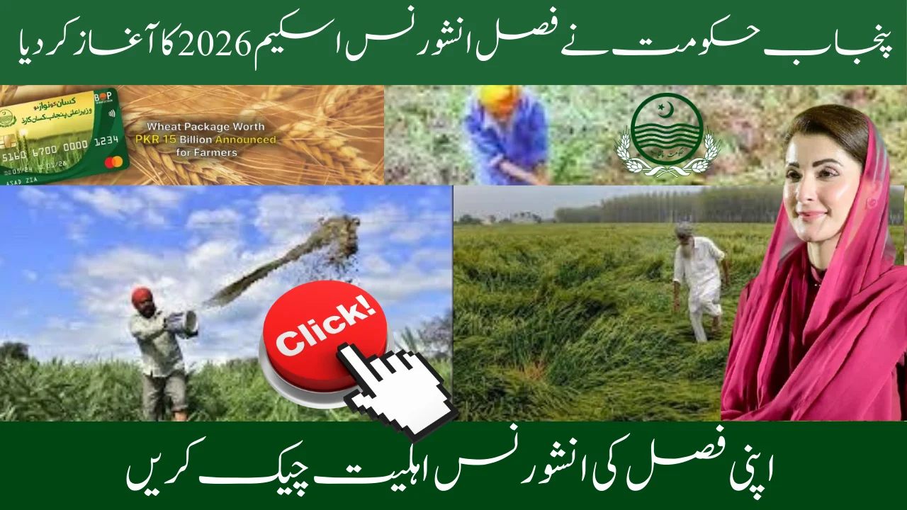 Punjab Govt Launches Crop Insurance Scheme 2026 - Online Registration Guide